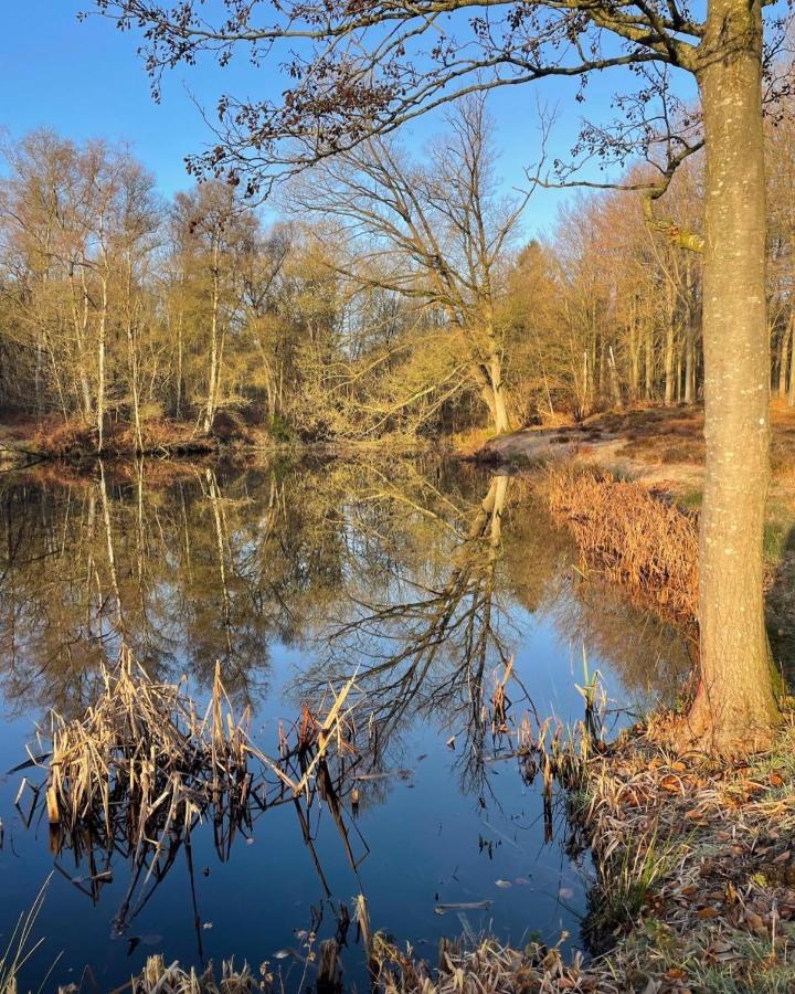 La Petite Halte Bed & Breakfast Comines-Warneton Eksteriør bilde